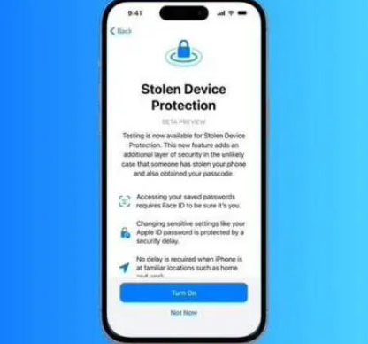 蔡甸苹果授权维修店分享被盗设备保护功能开启方法
