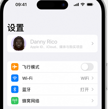 蔡甸appleID维修服务iPhone设置中Apple ID显示为灰色无法使用 