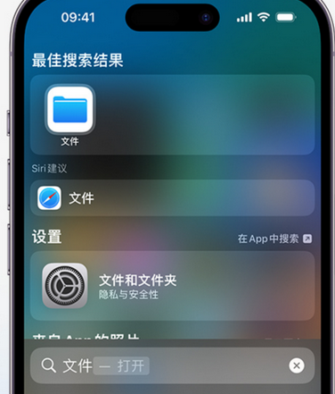 蔡甸apple维修中心分享iPhone文件应用中存储和找到下载文件 