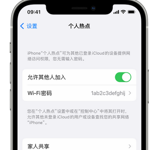 蔡甸apple服务站点分享iPhone上个人热点丢失了怎么办 