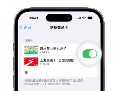 蔡甸apple维修点分享iPhone上更换Apple Pay快捷交通卡手绘卡面 