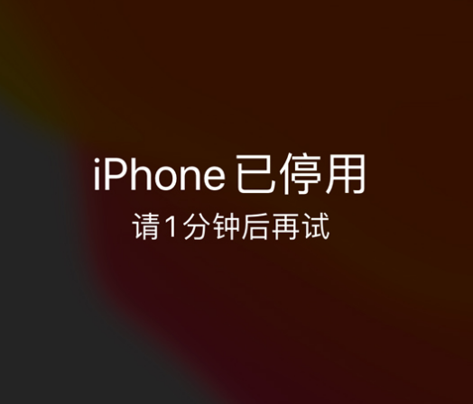 蔡甸苹果手机维修分享:iPhone 显示“不可用”或“已停用”怎么办？还能保留数据吗？ 