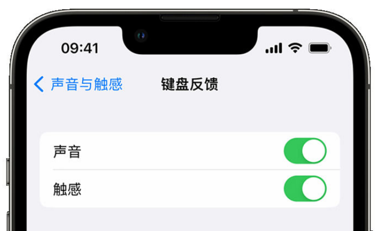 蔡甸苹果手机维修分享iPhone 14触感键盘使用方法 