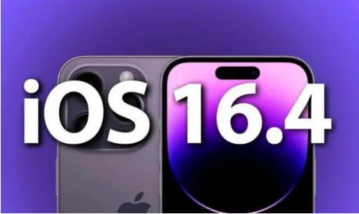 蔡甸苹果14维修分享：iPhone14可以升级iOS16.4beta2吗？ 