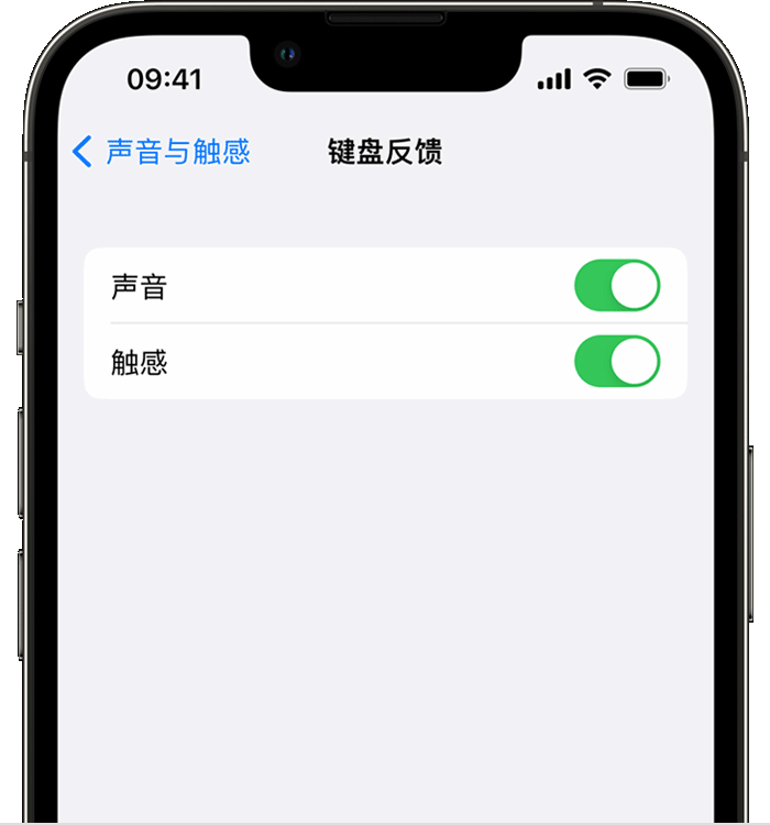 蔡甸苹果14维修店分享如何在 iPhone 14 机型中使用触感键盘 