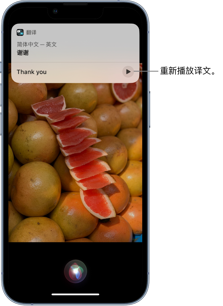 蔡甸苹果14维修分享 iPhone 14 机型中使用 Siri：了解 Siri 能帮你做什么 