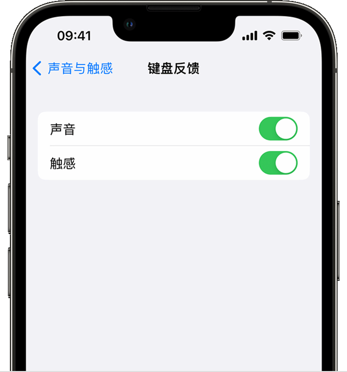 蔡甸苹果14维修分享iPhone 14 系列机型如何开启键盘声音或触感反馈 