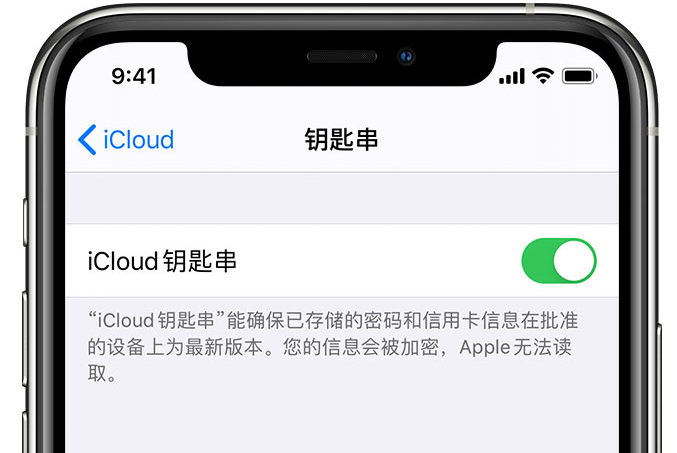 蔡甸苹果手机维修分享在 iPhone 上开启 iCloud 钥匙串之后会储存哪些信息 