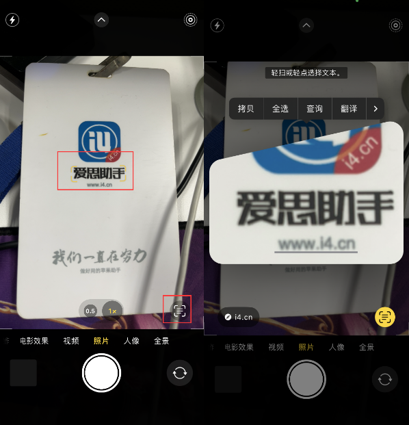 蔡甸苹果手机维修分享升级iOS 16后如何通过相机翻译文本 