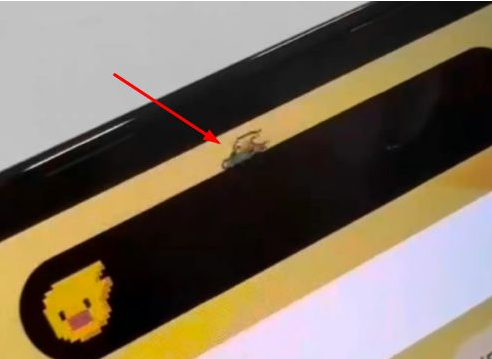 蔡甸苹果14维修分享iPhone 14 Pro Max灵动岛怎么养宠物 