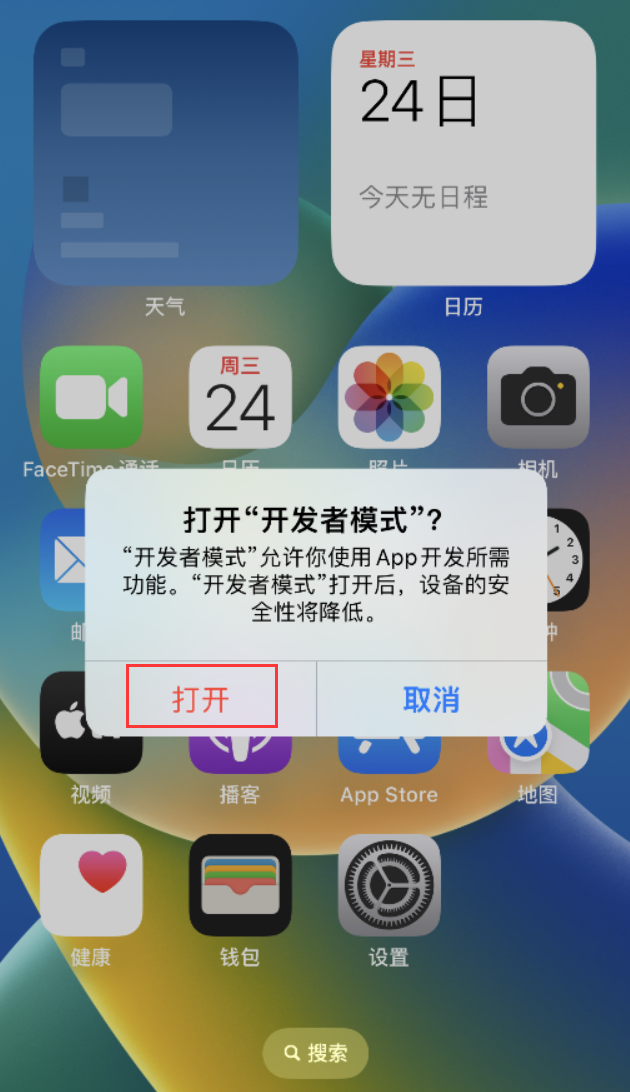 蔡甸苹果手机维修分享如何打开开发者模式 