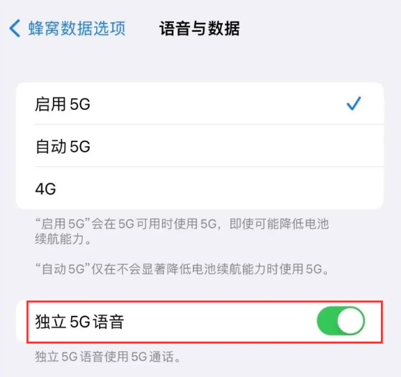 蔡甸苹果14维修分享iPhone 14 Pro如何开启VoNR 