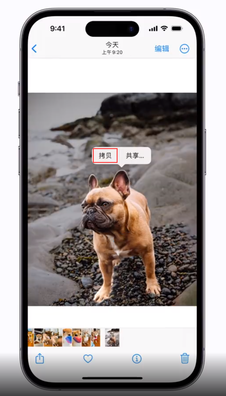 蔡甸苹果手机维修分享 iOS 16 自带一键抠图功能 