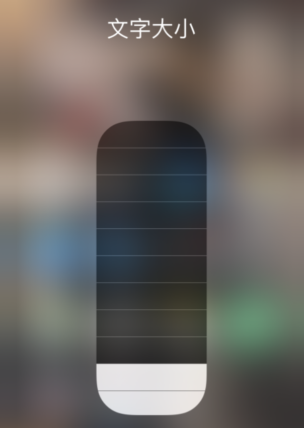 蔡甸苹果手机维修分享小技巧：在 iPhone 控制中心快速调节字体大小 