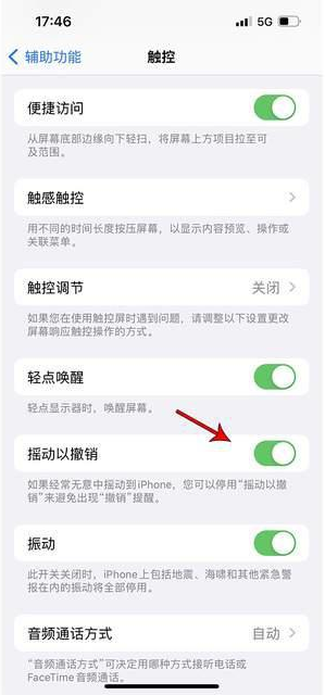 蔡甸苹果手机维修分享iPhone手机如何设置摇一摇删除文字 