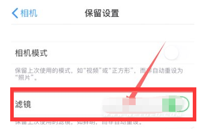 蔡甸苹果13维修分享iPhone13拍照有绿点是怎么回事 