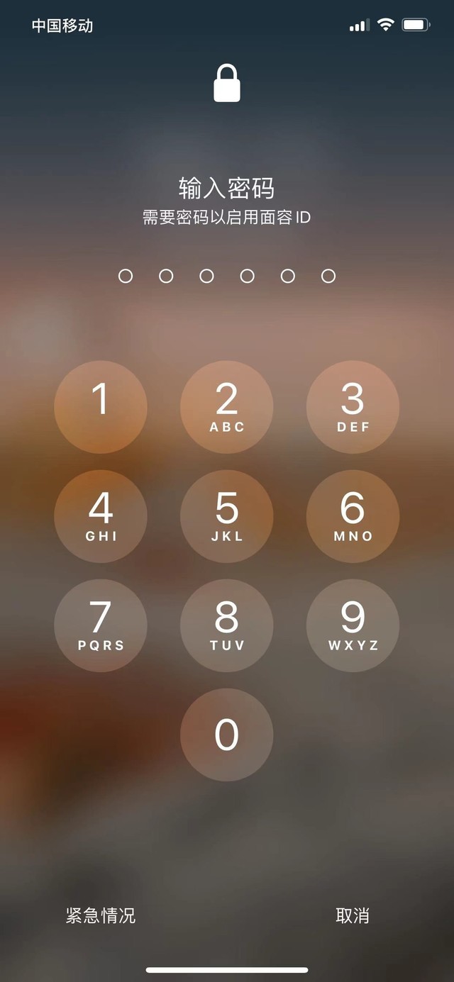 蔡甸苹果13维修分享iPhone 13加强锁屏功能有什么用 