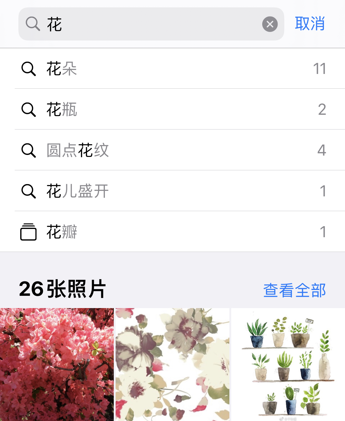 蔡甸苹果手机维修分享iPhone 小技巧 