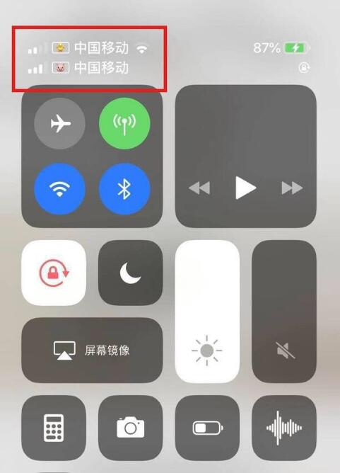 蔡甸苹果手机维修分享为 iPhone 12 双卡设置标签 