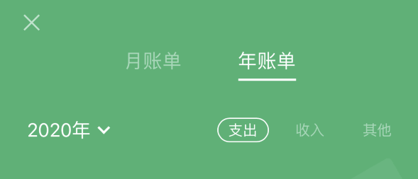 蔡甸苹果手机维修分享如何在 iPhone 上查看支付宝和微信年支出账单 