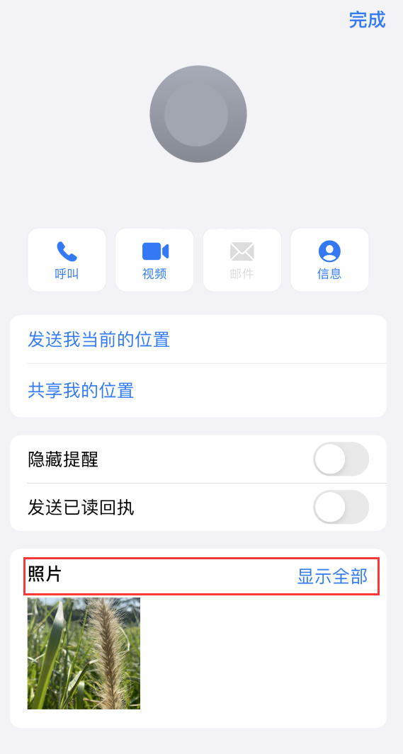 蔡甸苹果手机维修分享如何快速查找 iMessage 信息中的图片等附件 