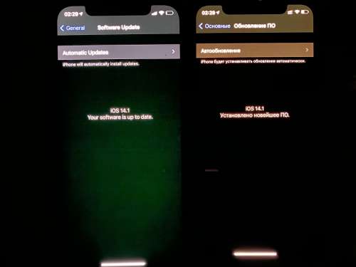 蔡甸苹果手机维修分享iPhone 12 显示黑色画面时发绿光怎么办 